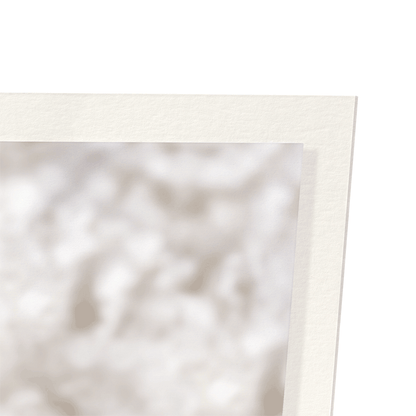 KITTEN AND NOTEBOOK: Photo Art Print