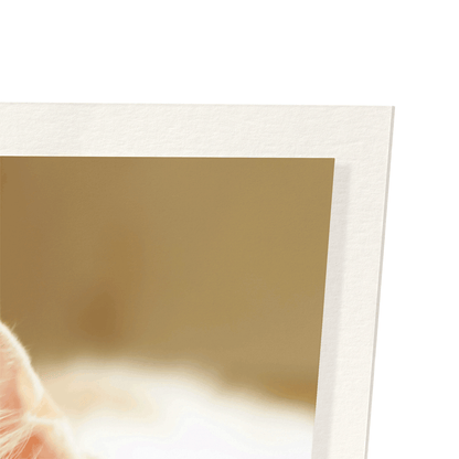 GINGER CAT AND BOOK: Photo Art Print