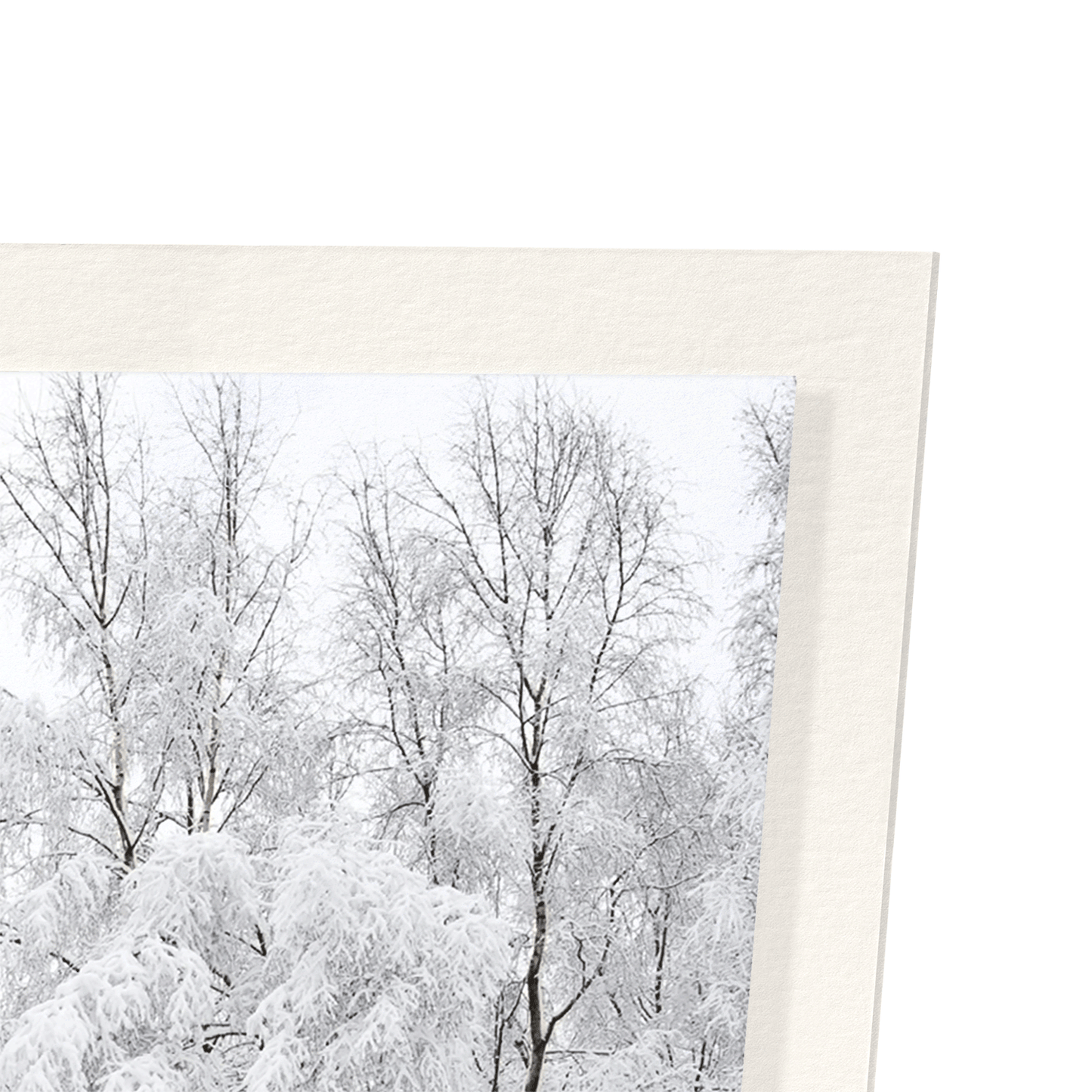 LITERARY WINTER WONDERLAND: Photo Art Print