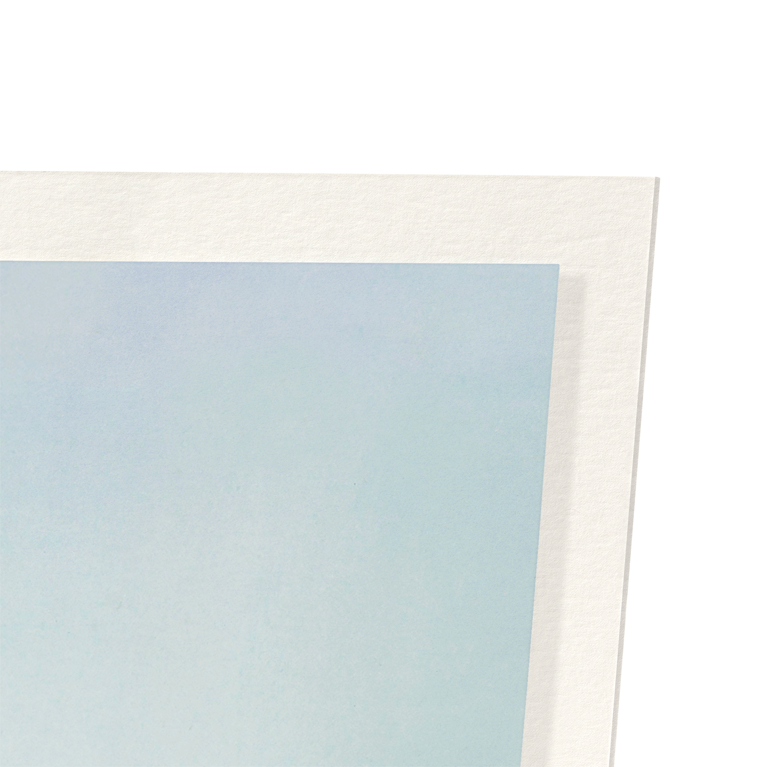 PHOTOMECHANICAL PRINT OF LOTUS FLOWERS (C.1890): Photo Art Print