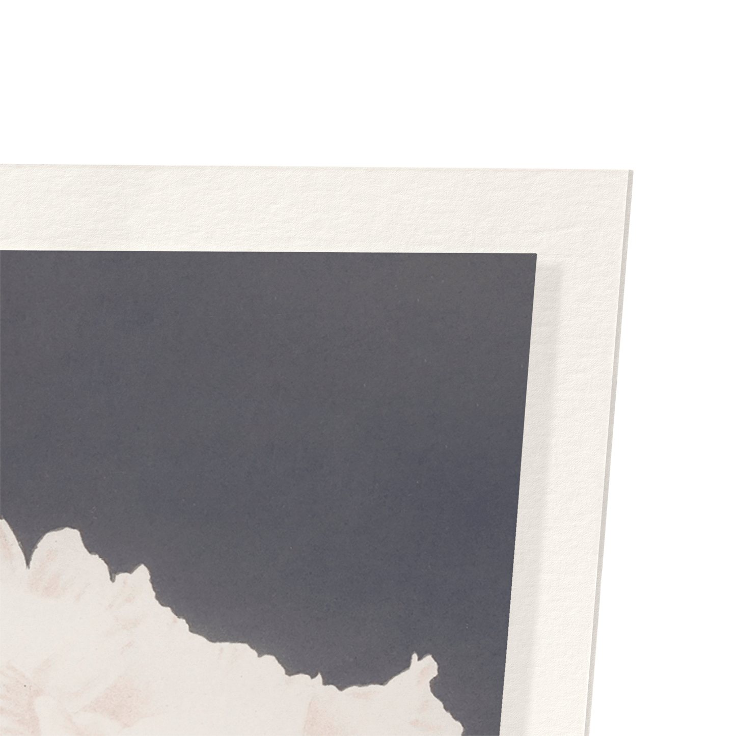 PHOTOMECHANICAL PRINT OF PEONIES (C.1890): Photo Art Print