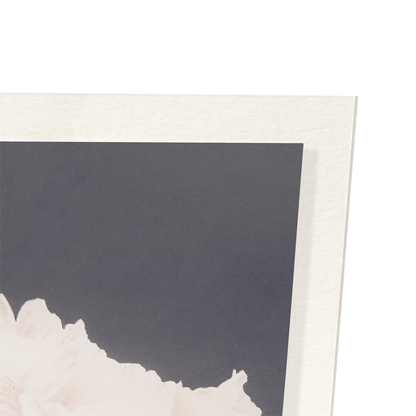 PHOTOMECHANICAL PRINT OF PEONIES (C.1890): Photo Art Print