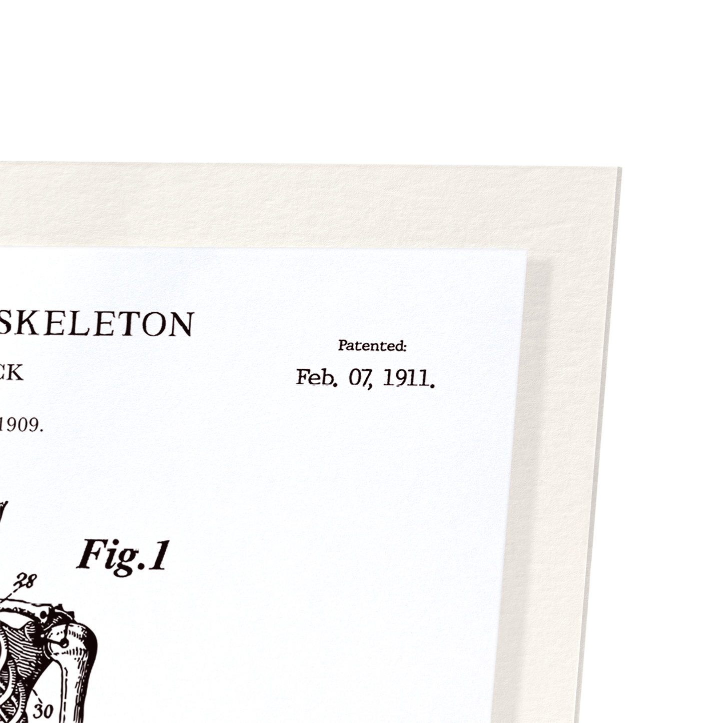 PATENT OF ANATOMICAL FULL SKELETON (1911): Patent Art Print