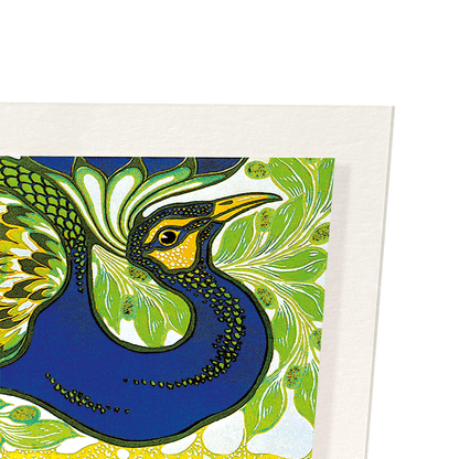 CONGRATULATIONS PEACOCK: Vintage Art Print